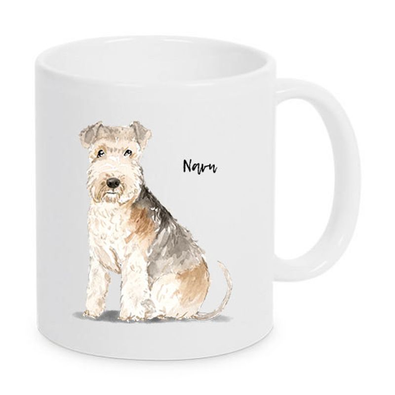 kopp Lakeland  Terrier
